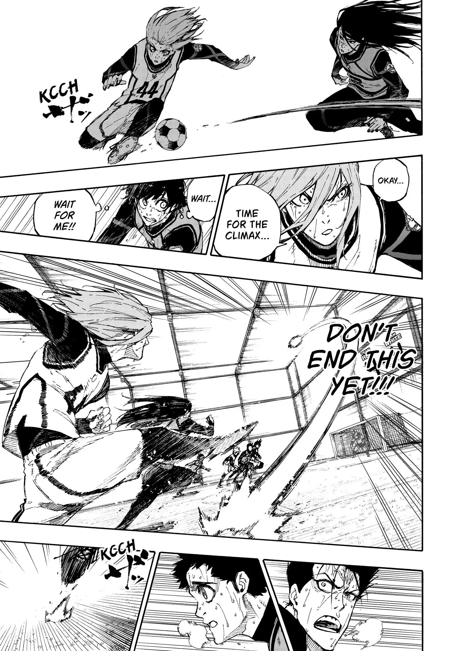 13007466 1600 2278 527704